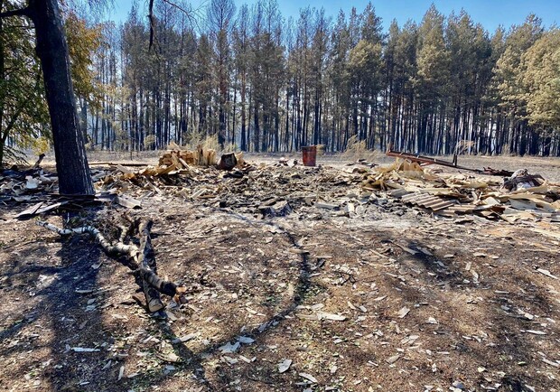 Лесхозы подсчитали последствия лесных пожаров под Харьковом. Фото: kharkivoda.gov.ua