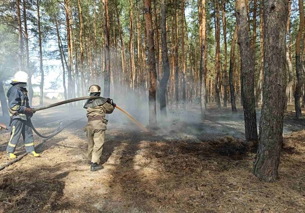 Масштабный пожар в Двуречанском районе локализовали. Фото: kh.dsns.gov.ua
