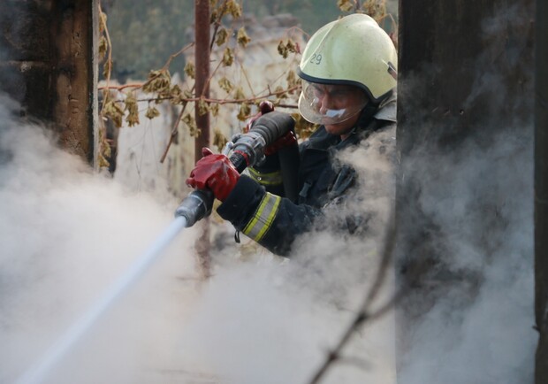 Под Харьковом четвертый день тушат лесной пожар. Фото: kh.dsns.gov.ua