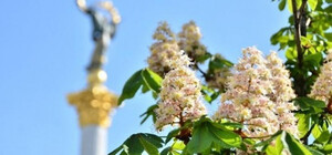 Понюхаешь: Киев получил свой собственный аромат