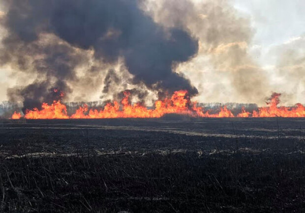 На Рогани тушат пожар площадью 500 квадратных метров. Фото: kh.depo.ua