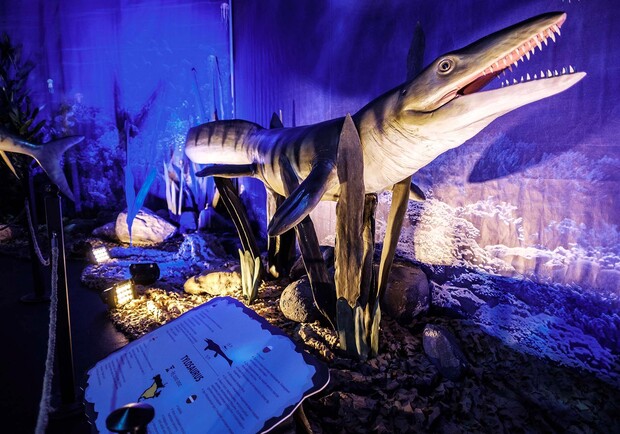 Интерактивная выставка "Динозавры морских глубин" - фото