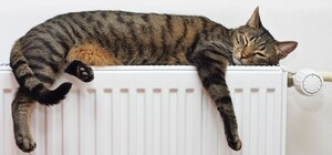 Не замерзнешь: в Киеве готовы досрочно включить отопление