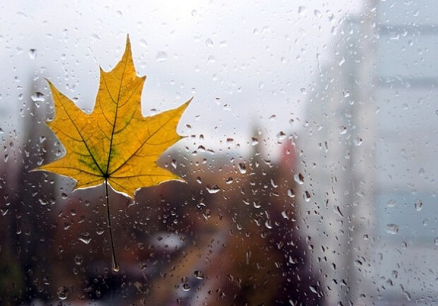 Настоящая осень: какой будет погода в Харькове на следующей неделе - фото