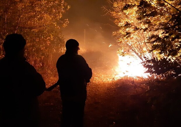 Под Харьковом произошли масштабные пожары. Фото: kh.dsns.gov.ua