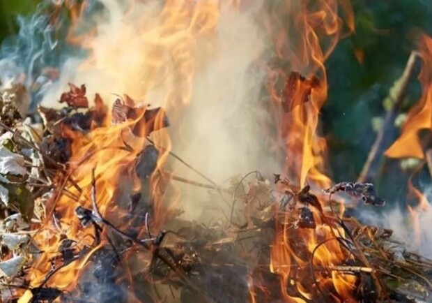 Появились новые штрафы за сжигание листьев. Фото:ukranews