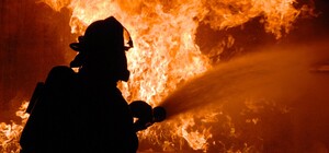 Масштабный пожар в Преображенском парке: смотри видео