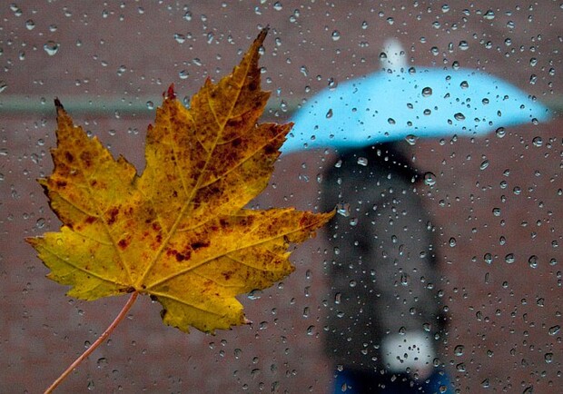 В Харькове резко похолодает и начнутся дожди. Фото: today.ua