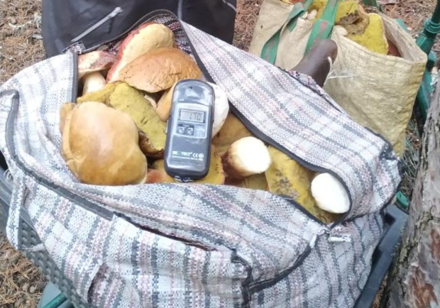 Радиоактивная еда: с зоны ЧАЭС пытались вывести 60 килограм грибов - фото