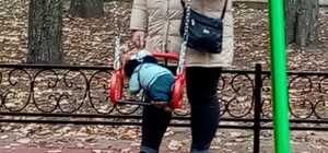 Скандал века: на Нивках женщина покатала собачку на качелях и разозлила мам с детьми