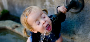 От Саржиного яра до Алексеевской балки: в Харькове проверили качество воды в источниках