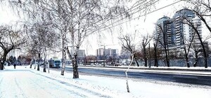 Сказочная красота: Запорожье накрыло снегом (фото)