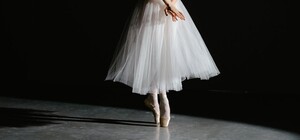 Лебединое озеро