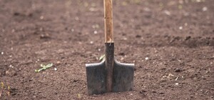 Моторошна знахідка: біля пологового будинку у Львові виявили людські рештки