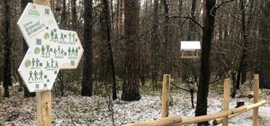 Зацени: в Виноградарском лесу открыли тропинку здоровья