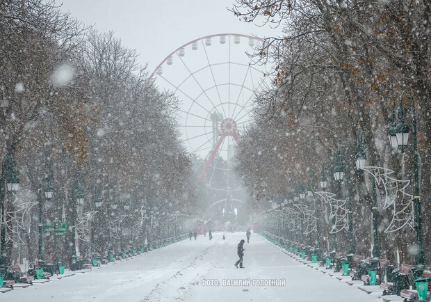 Харьков засыпало снегом. Фото: Василий Голосный