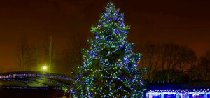 Полюбуйся ночными огнями: одесский парк украсили к Новому году