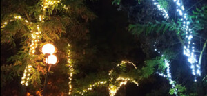 Грустный праздник: на поселке Котовского гирлянды вросли в деревья