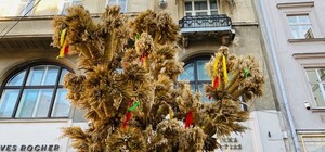 Фото, відео: у центрі Львова встановили Різдвяного Дідуха