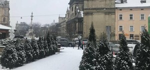 Казкові фото: Львів замело снігом