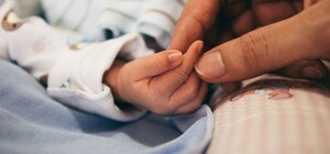 Получи ответ: работает ли в Запорожье во время локдауна система 