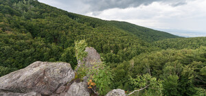 Не выходя из дома: в Минэкологии представили 37 оцифрованных заповедных зон Украины