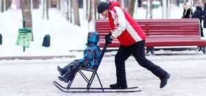 Прокат финских саней в парке Горького