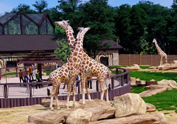 В харьковском зоопарке показали, как будут жить обитатели «Африканской саванны». Фото: Харьковский зоопарк