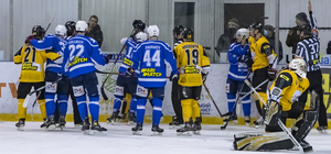 В ход пошли клюшки и кулаки: в матче Чемпионата Украины хоккеисты устроили драку