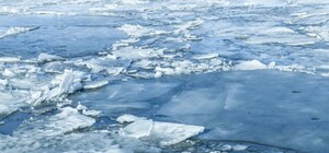 Спасли очевидцы: в Гидропарке ребенок провалился под лед