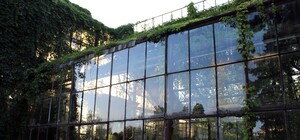 Реконструкция оранжереи на ВДНГ: что там уже сделали