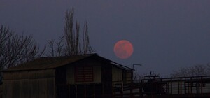 Ночь перед штормом: в небе над Одессой взошла необычная Луна