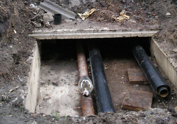 Фото kp.ua.  Харьковскую канализацию отремонтируют на 5 миллионов долларов. 