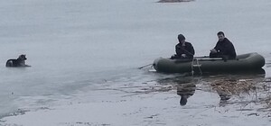 Спасают третий день: под Харьковом собака застряла на льдине