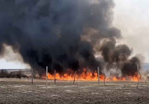 В Харькове и области — масштабные пожары из-за поджигателей травы. Фото: t.me/truexanews