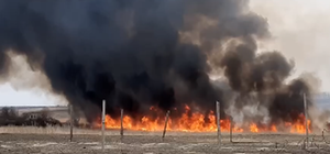 Аэропорт, Немышля, пригород: в Харькове и области — масштабные пожары из-за поджигателей травы