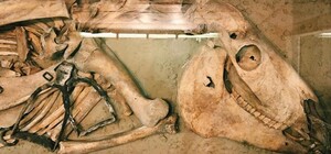 Аланы, болгары, хазары?