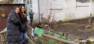 Любов зла: учасницям шоу «Холостяк» показали львівського козла