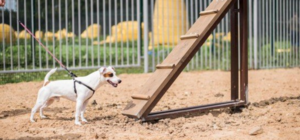 Больше негде играть: на левом берегу дети 