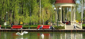 К майским праздникам: на озеро в парке Горького вернут лебедей