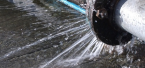 Учись плавать: на Виноградаре затопило тротуар из-за прорыва трубы