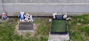 Останки кремируют: на Познякаях демонтируют кладбище домашних животных