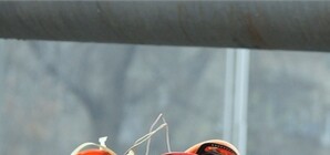 Киевляне с плакатами наголо не пускают застройщиков в свой квартал