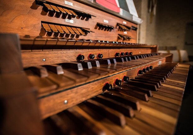 Большой органный концерт ко Дню Европы - фото