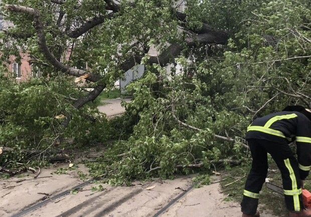 В Харькове спасатели расчищали дороги от поваленных ветром деревьев. Фото: ГУ ГСЧС в Харьковской области