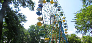 Получи ответ: почему в парке 