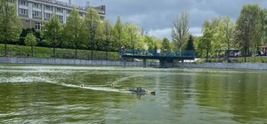 Лево руля: в парке 