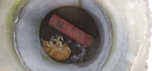 Могла бути дитина: львівські рятувальники визволяли собаку з каналізаційного колодязя 