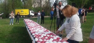 Из пасхальных кексов: в Днепре установили новый гастрономический рекорд