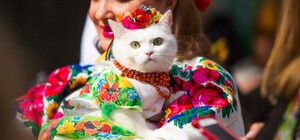 День вышиванки 2021: история праздника и когда отмечается